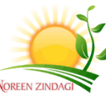 Logo of Noreen Zindagi Welfare Trust